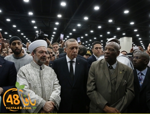 mohamed alli (2).jpg